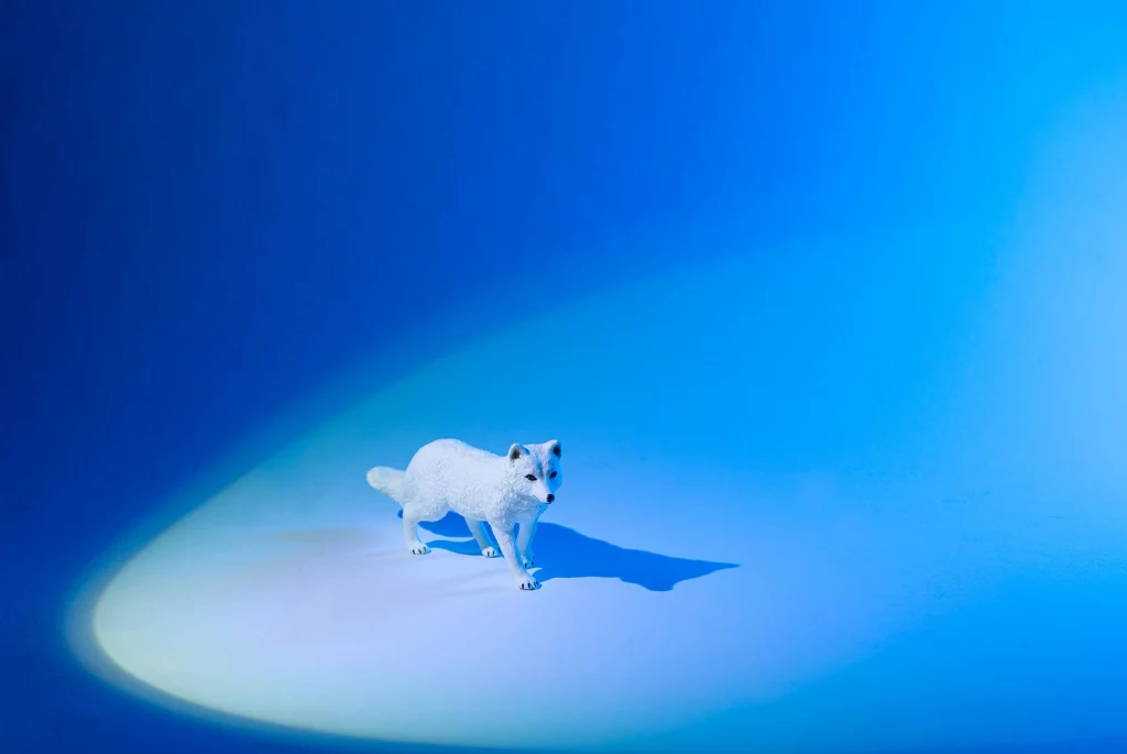 Resulted | Referenzen - qtec Tiere