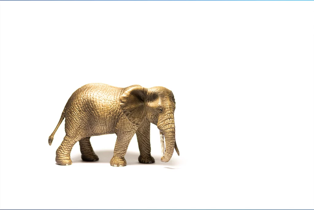 Resulted | Referenzen - qtec Tiere